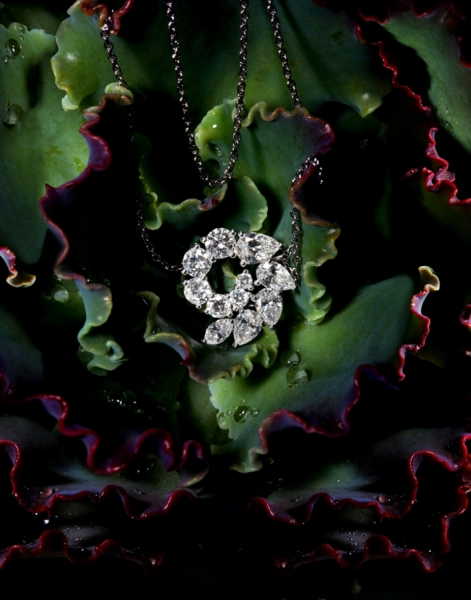 Photograph Lorin Crosby Lcrosby Harry Winston Lettuce on One Eyeland